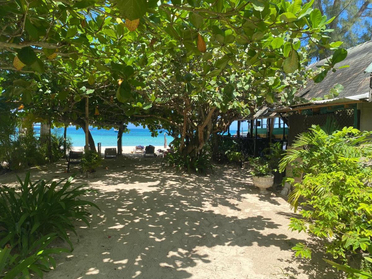 Secret Cabins At Firefly Beach Cottage Negril Buitenkant foto